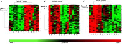 Diterpenoids and Triterpenoids From Frankincense Are Excellent Anti-psoriatic Agents: An in silico Approach